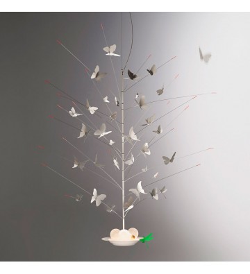 La Festa delle Farfalle