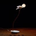 Lucellino LED