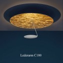 LEDERARM