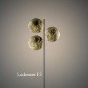 LEDERARM
