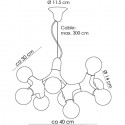 DNA