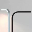 LEE