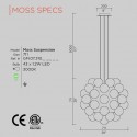 MOOS